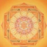 VedicAstologer