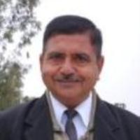 Madan Gopal Dasaur Lawyer